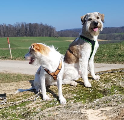 Besuch im März, Caruso trifft Alva