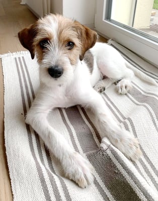 Aiva von der Bijouterie Chlinau