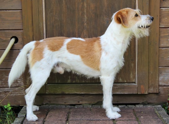 Aruba von den Elbsanddünen