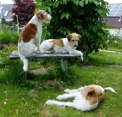 ooooch... wieder Fotos...