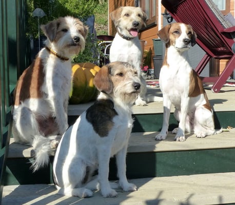 Gruppenbild in der Sonne, immer schwierig