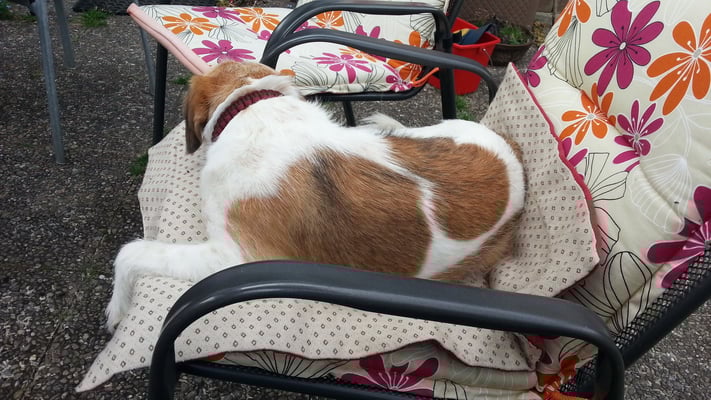 auch hier... Kissen plus Decke... Mannomann...