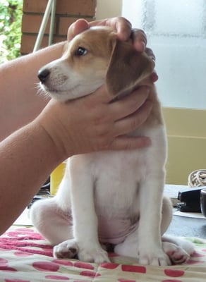 ja guck nur, wenn Du meinst, das müsse sein...