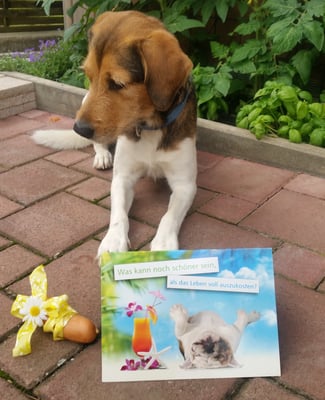 Asterix, mit Karte und Geburtstagswurst!