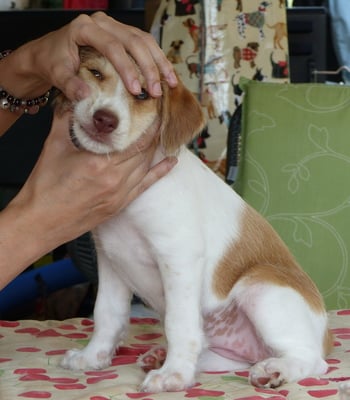 ja die Zähne sind da!