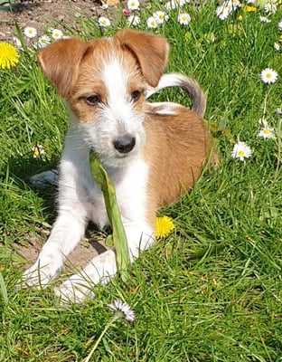 Amy von der Bijouterie Chlinau