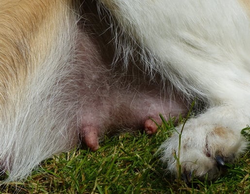 Die Milchbar... bald ist Eröffnungstag...