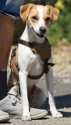 Elli von Burg Lobenstein