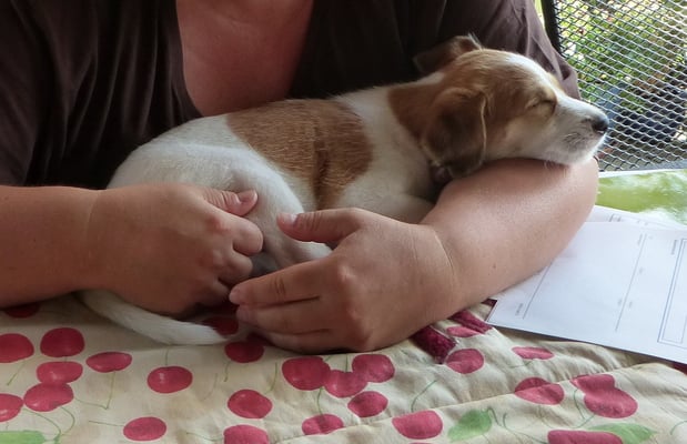 ach, ist das alles ermüdend...