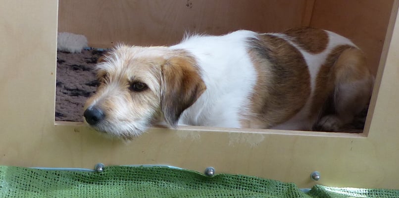 Wurzel ist ein alter Photohase... sie lässt die beiden mal in Ruhe üben...