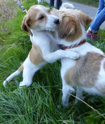 wir haben uns soooo lieb... Bijou mit Mama Wurzel