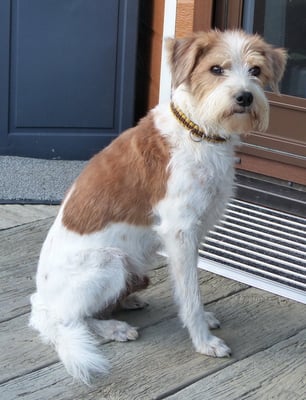 da drin macht Ursi Futter... muss ich dann auch fressen? oh Gott!