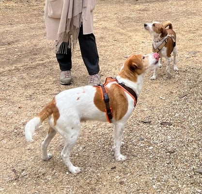 Bijou mit Tochter Amy