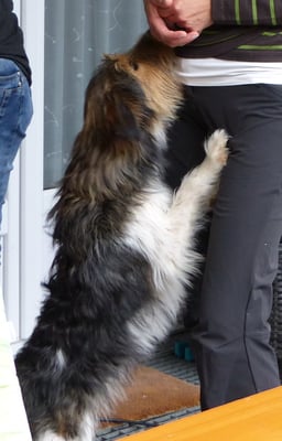 und hier gibts noch feine Lekkerli!