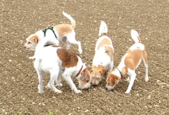 hier riechts so gut! war das Baila? die duftet noch so lecker!