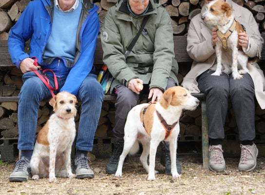 Aki, Mama Bijou und Amy