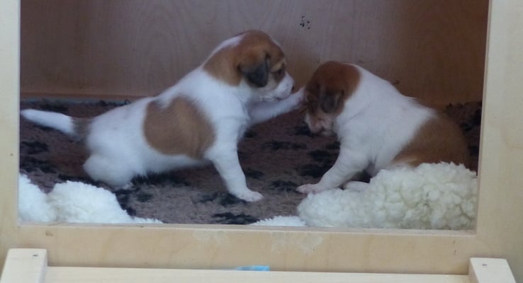 Du, sag jetzt mal was... sollen wir da raus?