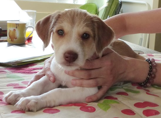 die Tanten sind nett hier!