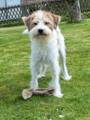 Tuba und sein Horst - derzeit eine reine Männerfreundschaft