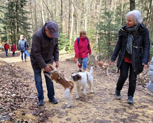 ja Amy, du bist eine Süsse!