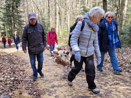 Amy im Anflug - schnell Grüezi sagen!