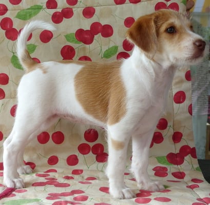 so! Angeberpose! und jetzt will ich zurück zu Bijou!