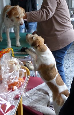 gell, anständig sein! ;-)   Wurzelchen hat alles im Griff....