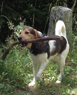 der nächste Winter kommt bestimmt...