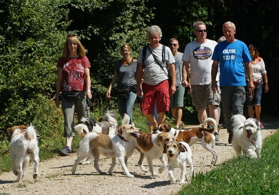 wieder die gewohnte Spaziergangsroute... ;-)