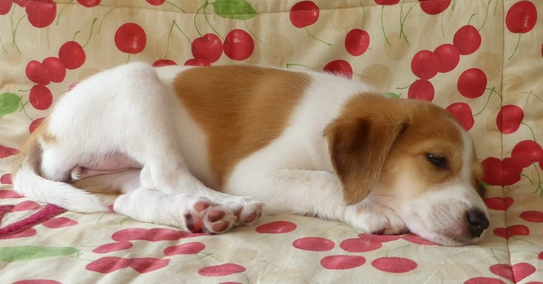 aufstehen fürs Foto? wirklich?