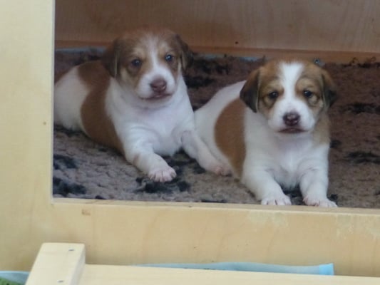 wir? jetzt? da raus?