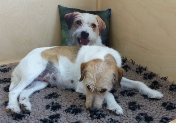 mit Kromikissen... da liegt es sich  noch angenehmer...