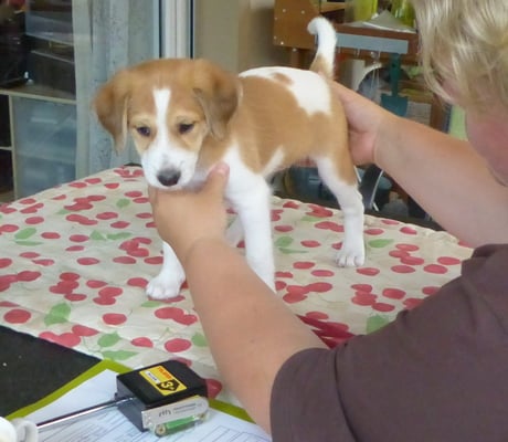 Bijou macht es super...