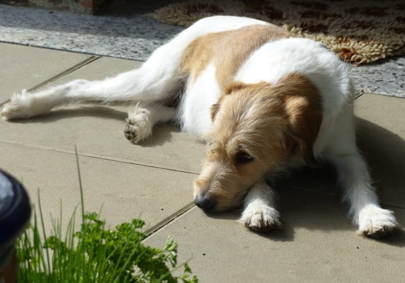 Wurzel macht wieder Pause...