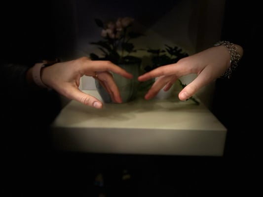 di Francesco Borsetto