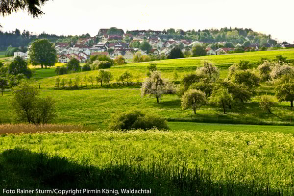 Südlicher Blick auf Salzstetten 