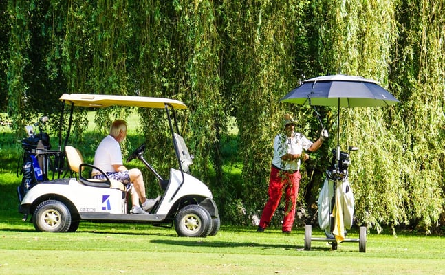 Trauerweiden für Trauerschläge