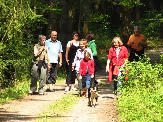 Schöne Waldwege ...