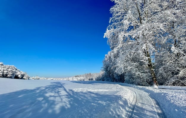Blick zurück auf Tumlingen