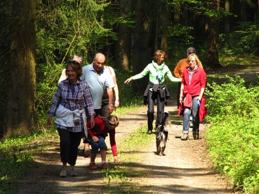 ... im Tumlinger Forst