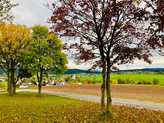 Oberhalb Waldachtalschule