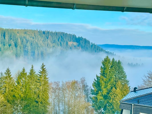 Morgennebel im Tal Richtung Baiersbronn