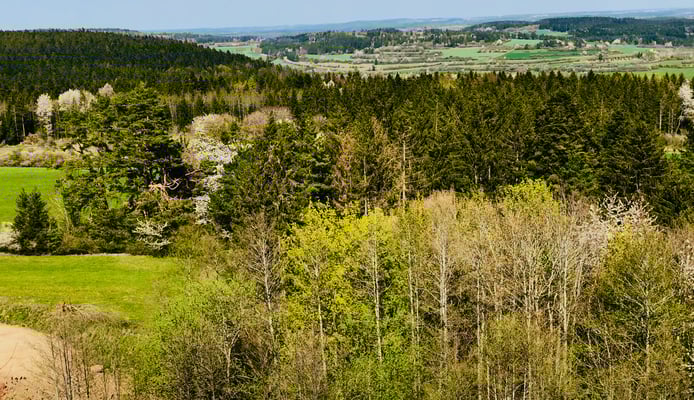 Oben von der Erddeponie Hagenbuch
