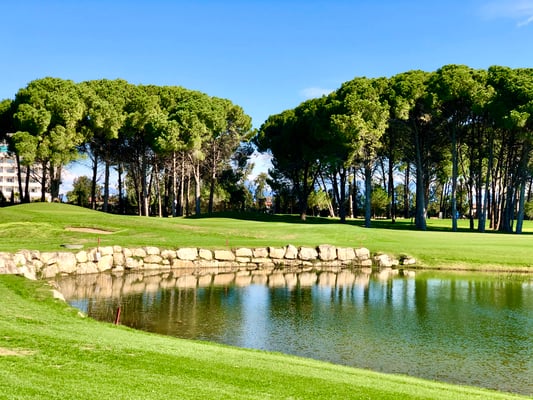 Pasha, See Bahn 13 und 15