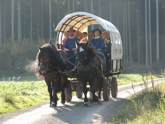 Pferdekutschfahrt oberhalb des Wellnesswaldes