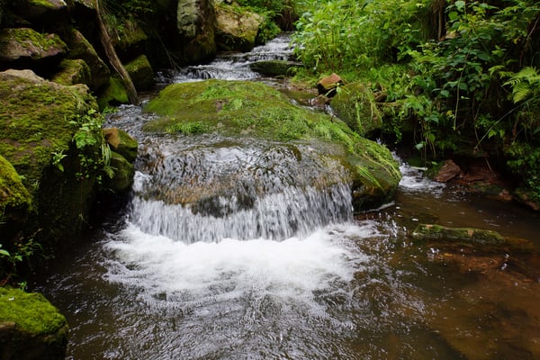 Von Loßburg abwärts entlang der Kinzig