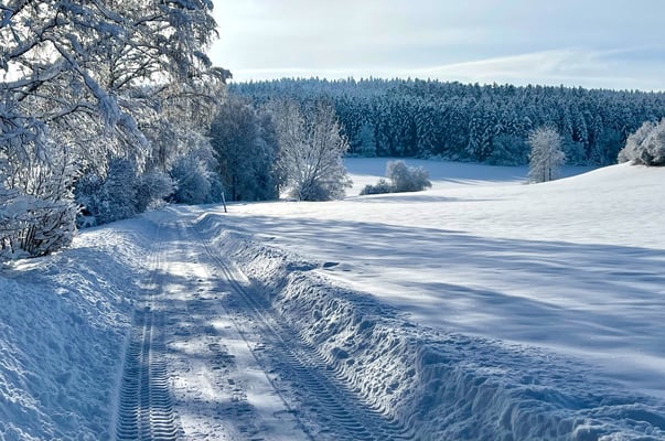 Neuschnee Januar 2021