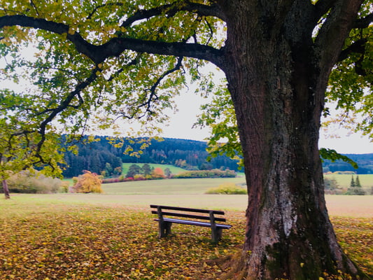 Salzstetten oberhalb der Mühle