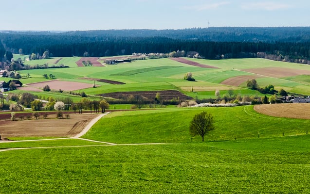 Blick vom Schellenberg ins Waldachtal mit Hörschweiler