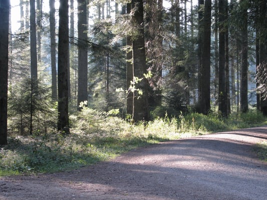 Schöner Rundweg, nicht zu lang.